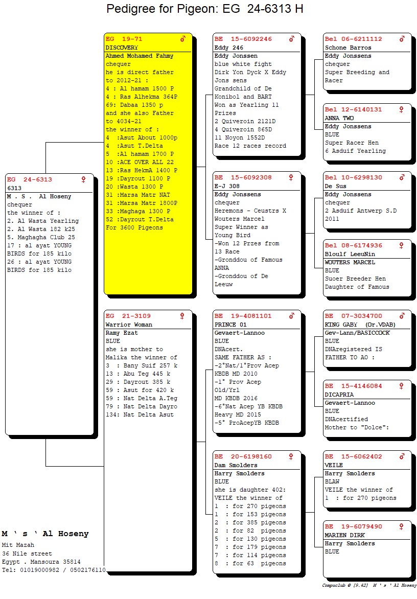 An image for the product